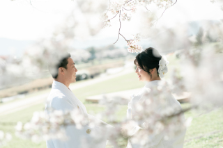 鴨川と桜♪