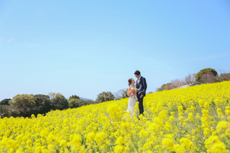 菜の花に囲まれて