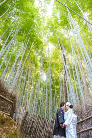 嵐山 竹林