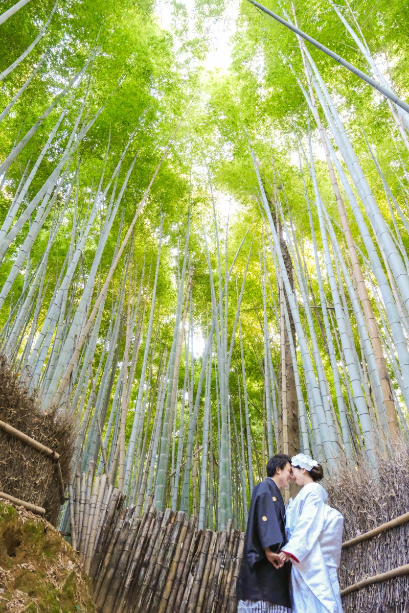 嵐山 竹林