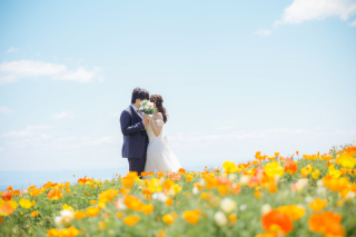 お花畑ショット✿