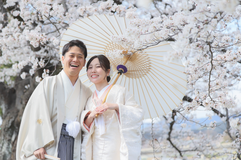 桜撮影風景の紹介✿①