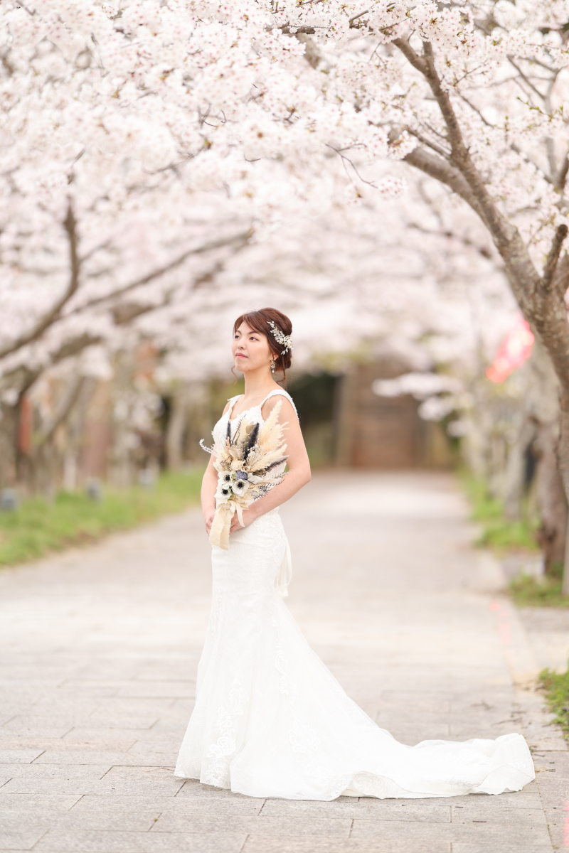 桜撮影風景の紹介✿