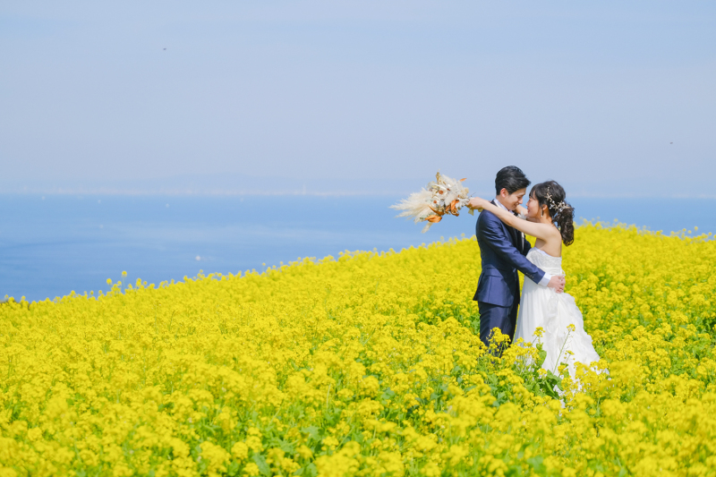 ロケ地紹介☆淡路花さじき菜の花畑