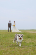 ペットと一緒に撮影♪♪