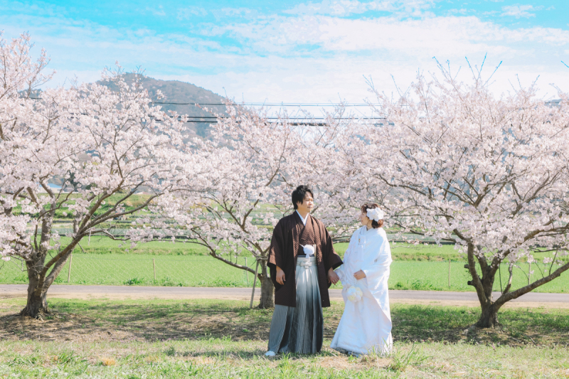 淡路島 秘密の桜スポット
