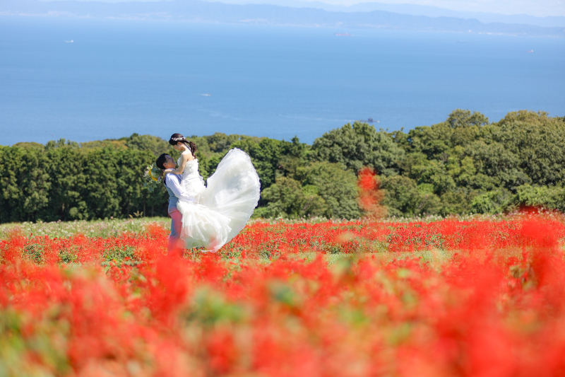 あわじ花さじき撮影風景✿✿