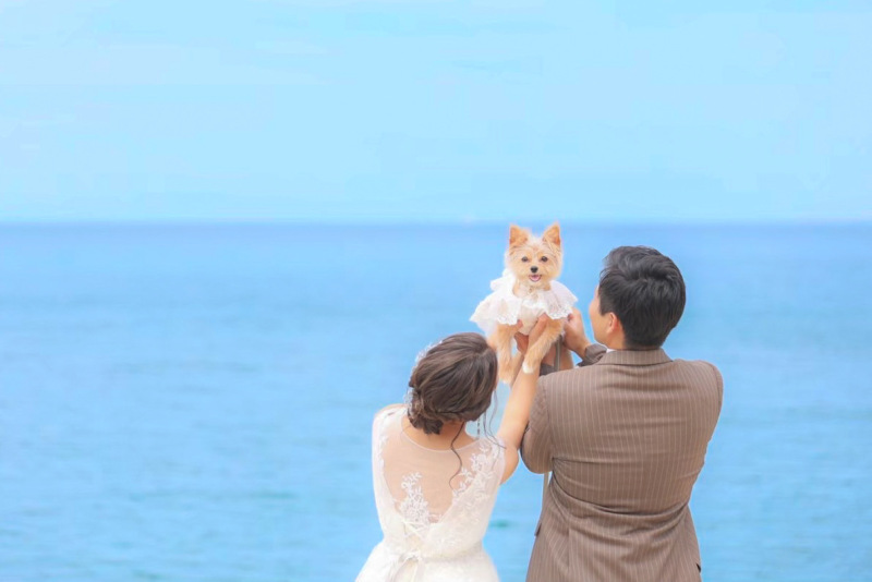 【ペットプラン】 ワンちゃんと一緒に♡記念のお写真残しませんか