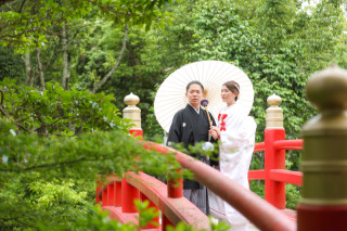 新緑の季節！！