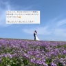 嬉しいお声いただきました(*^_^*)