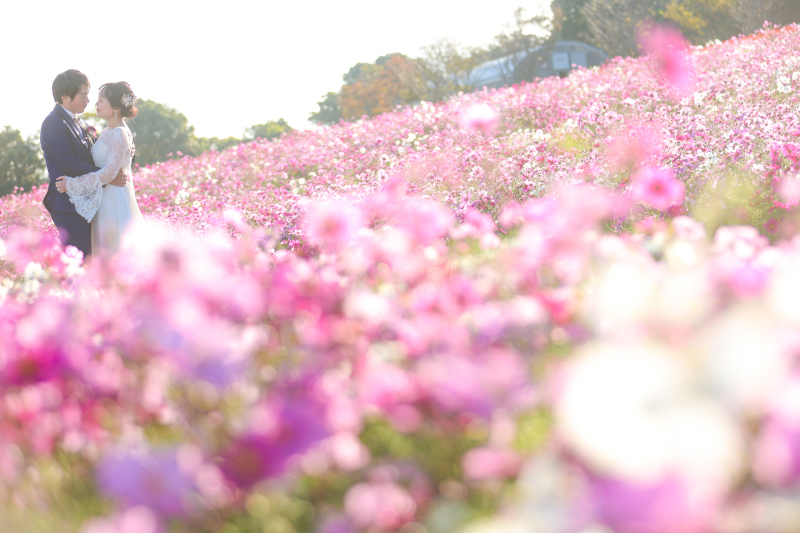 【秋季早割】あわじ花さじきロケ撮影!8月申込みの方限定!のプランが出来ました!!
