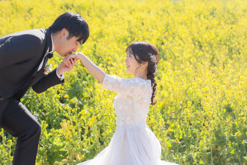 菜の花畑撮影✿✿