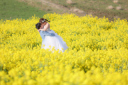 菜の花見頃！！空き枠少ないのでお早めにお問い合わせ下さい！
