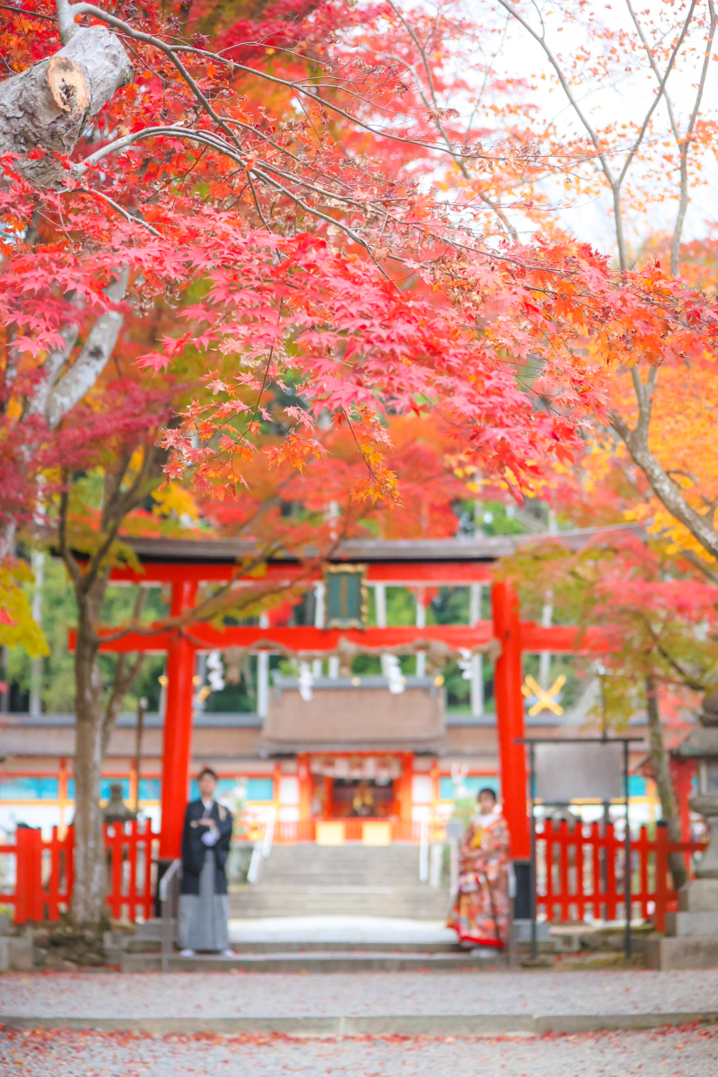 大原野神社紅葉撮影レポート
