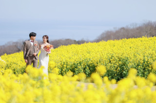 春の撮影スポット紹介♪【菜の花畑】