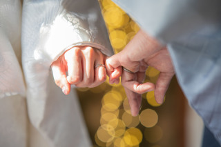 秋の撮影シーズン到来