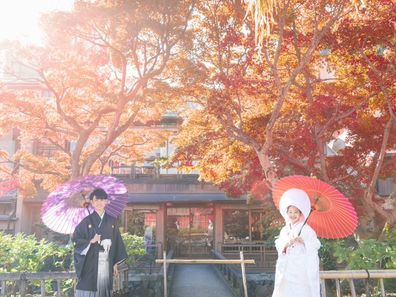 紅葉シーズン空き状況のお知らせ！