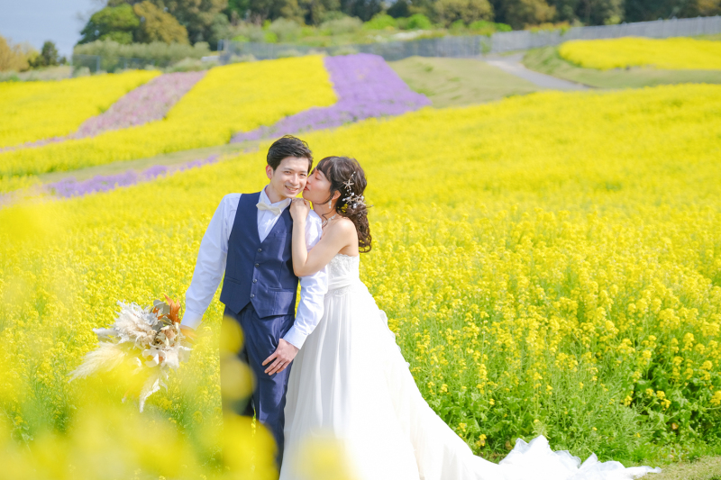 ロケ地紹介☆淡路花さじき菜の花畑