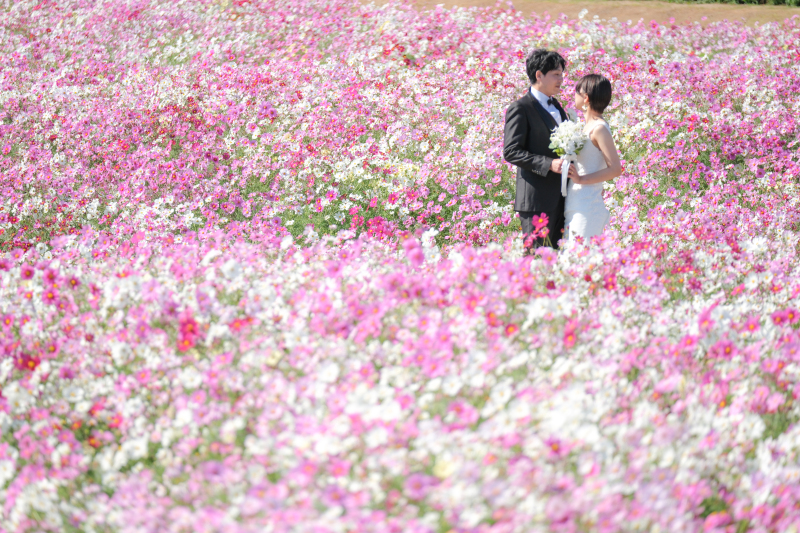 秋の花畑で洋装撮影！！