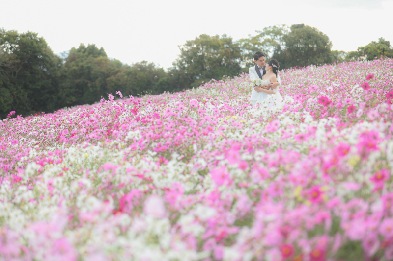 花さじき撮影のご紹介♪