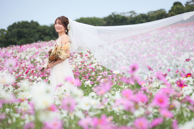撮影の様子　あわじ花さじき　10月