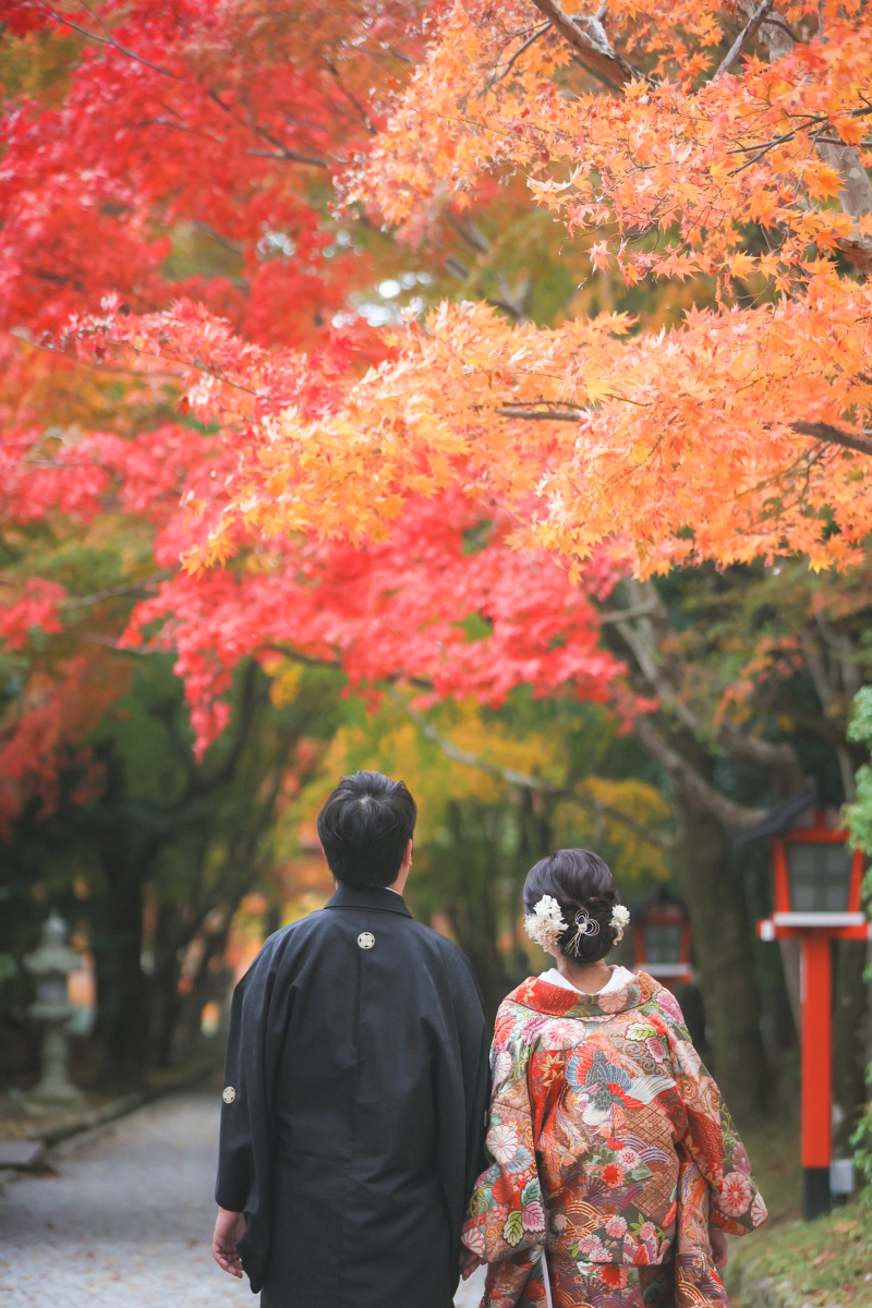 大原野神社紅葉撮影レポート