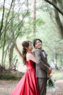 秘密の森撮影風景