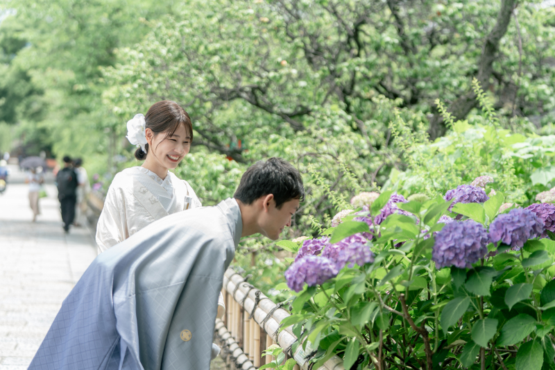 紫陽花プラン☆紹介