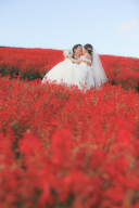 花さじき撮影のご紹介♪