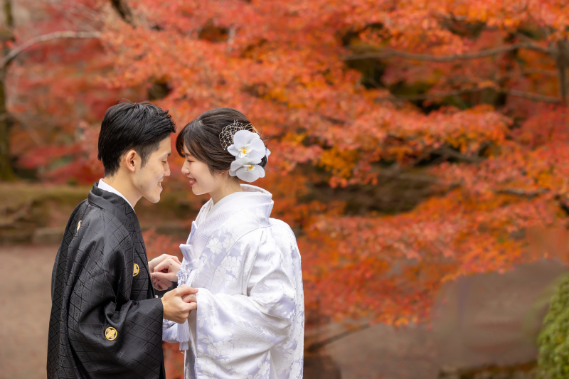 毘沙門堂紅葉撮影レポート