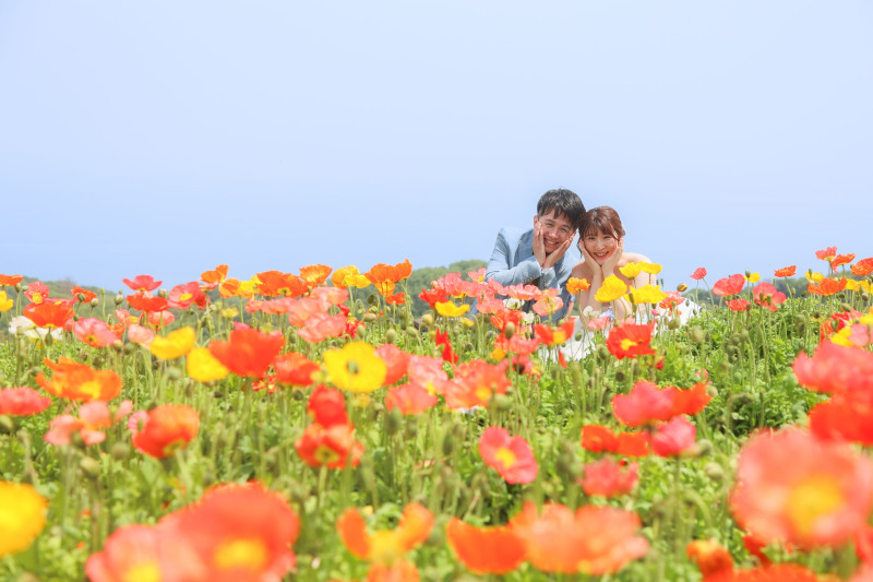 お花畑ショット✿