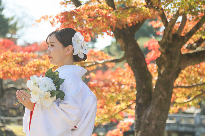 紅葉撮影☆☆☆