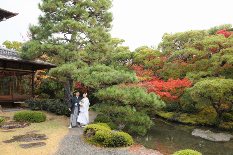 京都紅葉撮影レポート☆