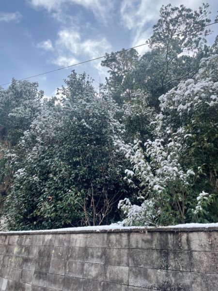 姉妹店京都では雪が積もりました☆