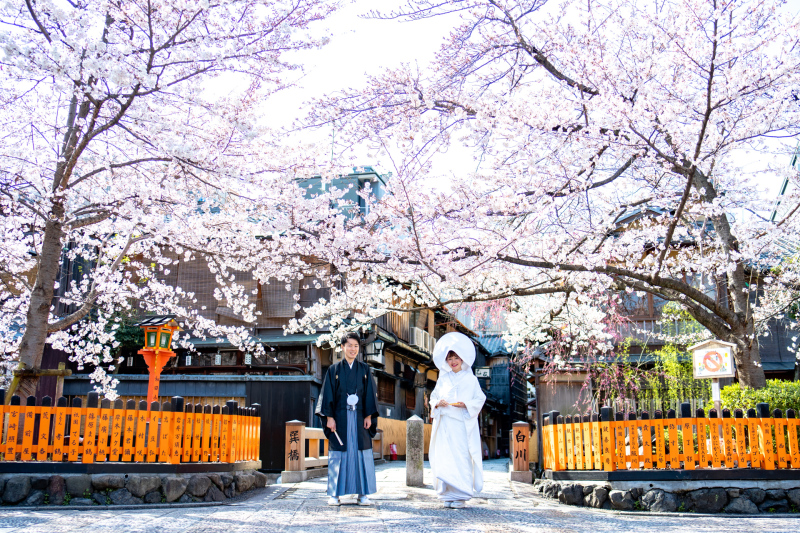 桜シーズン到来✿✿✿