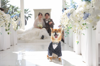 ペットと一緒に撮影♪♪