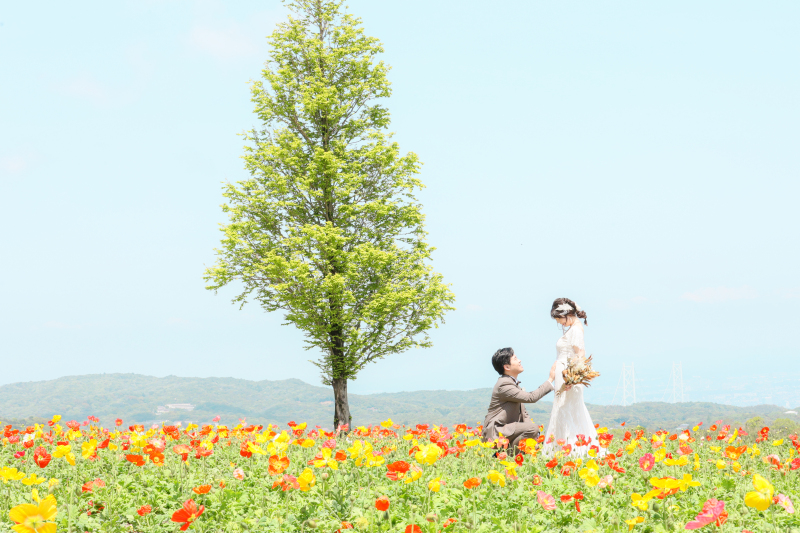 春のキャンペーン紹介✿✿✿