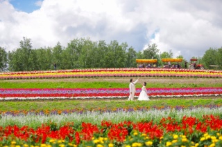 12/1 〜 受付スタート！春夏ロケ！北海道&times;ロケーションフォトウエディング