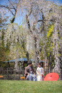 北海道&times;ロケーションフォト　春の桜ロケスポット！