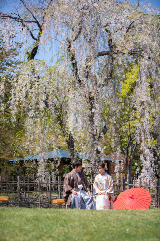 北海道&times;ロケーションフォト　春の桜ロケスポット！