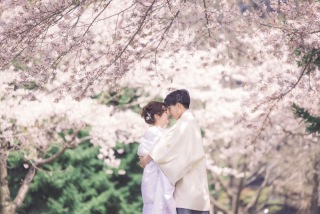 桜ロケーションフォトご予約受付中!注目のスポットとは?!