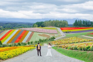 北海道の絶景を独り占め!四季彩の丘で叶える、忘れられないフォトウェディング