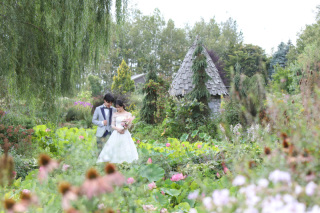 北海道ガーデン街道『上野ファーム』でのロケーションフォト！