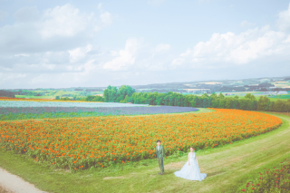 美瑛2箇所コースの撮影スケジュールをご紹介!