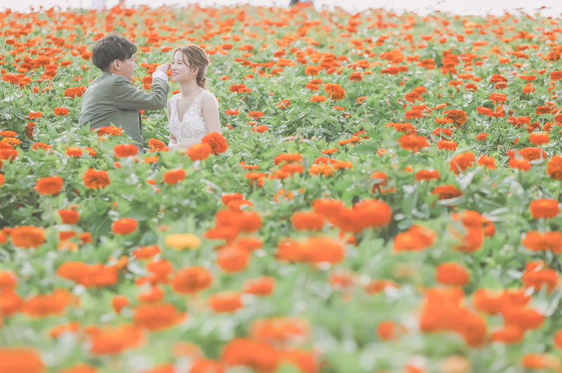 美瑛・富良野の絶景を独り占め♡先行予約で叶える感動のロケーションフォト
