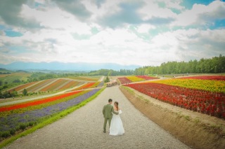 北海道×ロケーション いよいよ開花!四季彩の丘は7月からお花シーズン!