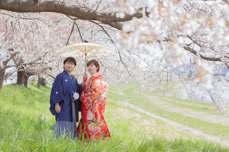 【一目千本桜】桜ロケーションのご紹介!