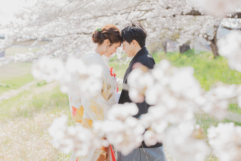 【一目千本桜】桜ロケーションのご紹介!