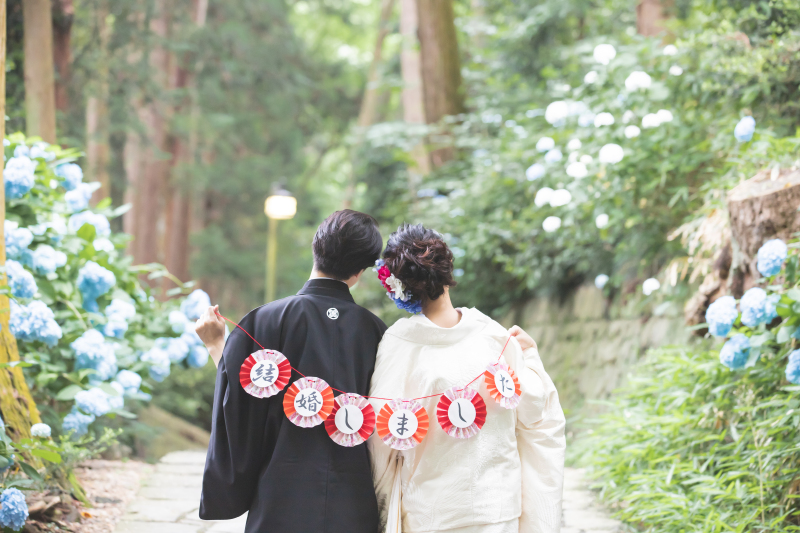 紫陽花フォト*