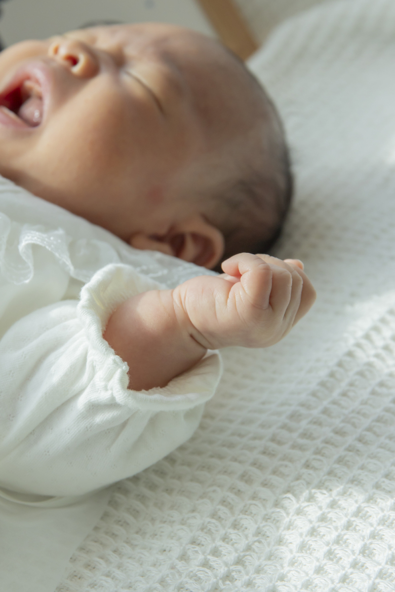 \新しい家族が増えた記念に/ファミリーフォトも承ります♡